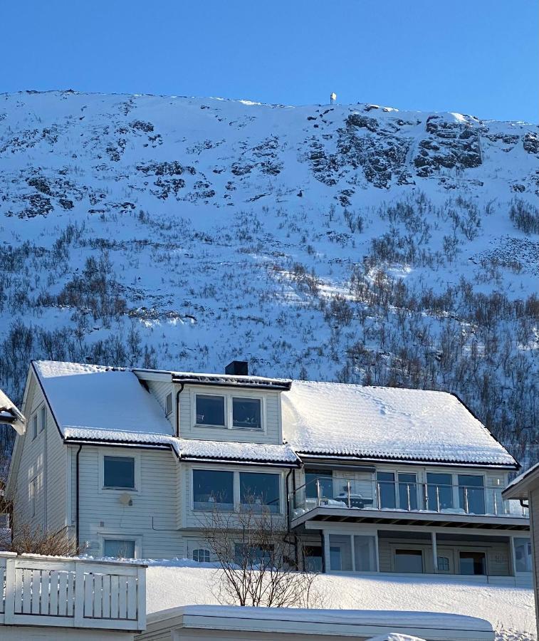Polar Arctic View - Free Parking! Apartment Tromsø Exterior foto