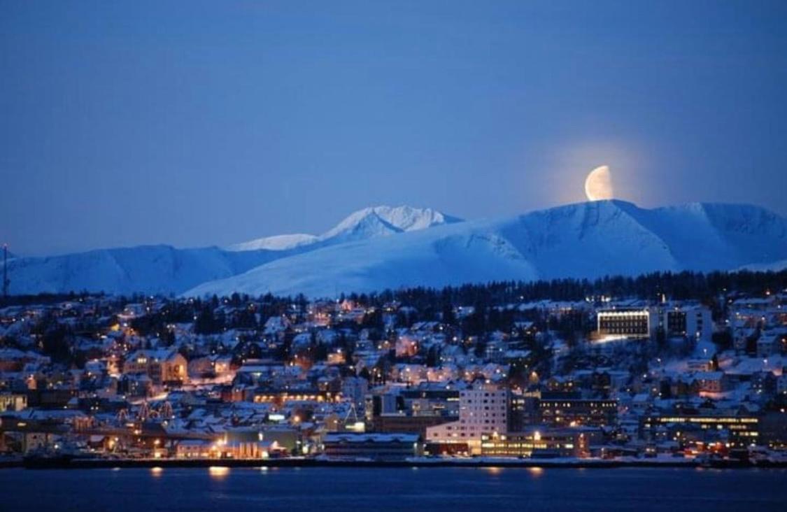 Polar Arctic View - Free Parking! Apartment Tromsø Exterior foto